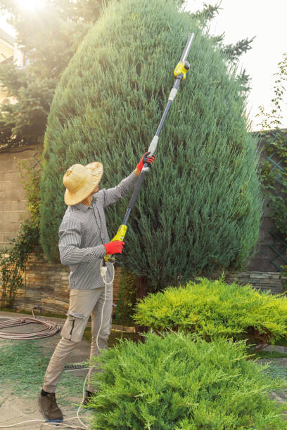 Best Affordable Tree Service  in Prosser, WA